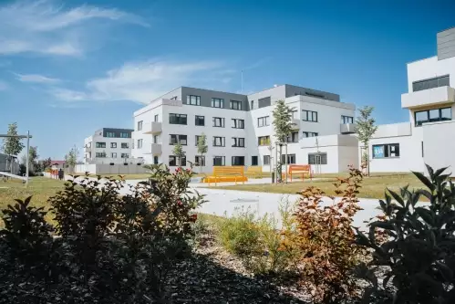 2019: BD Višňovka, Horoměřice
